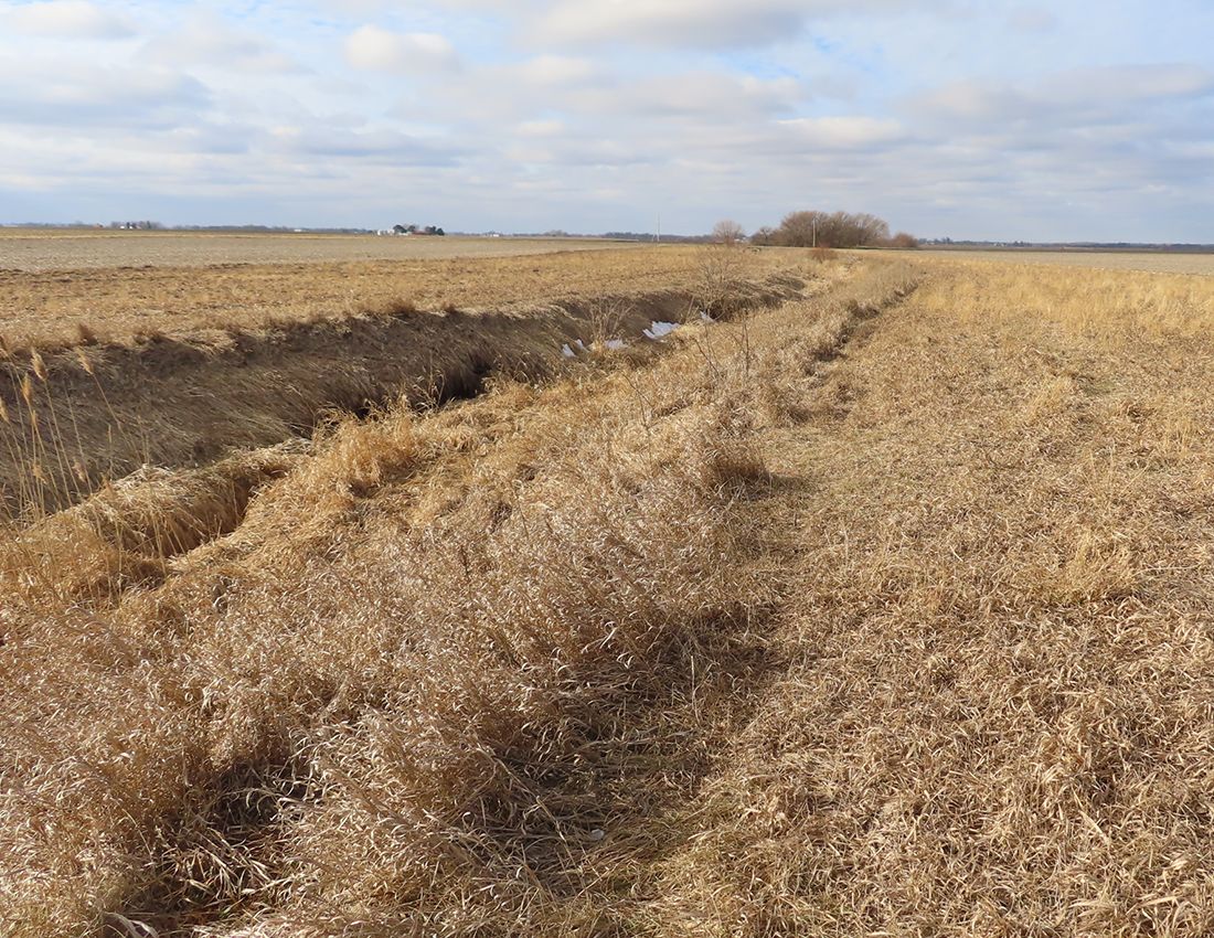 Listing Photo: Diss looking west